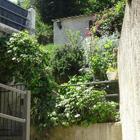 Apartment Charming In An Authentic Corsican Village Zalana